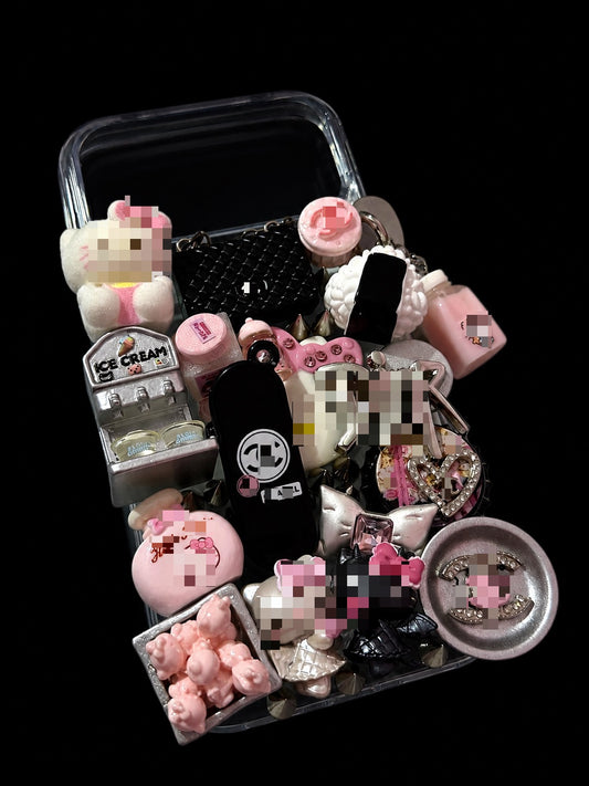 PreMade 17 Pro Max Case